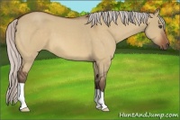 Horse Color:Silver Bay Roan Dun 