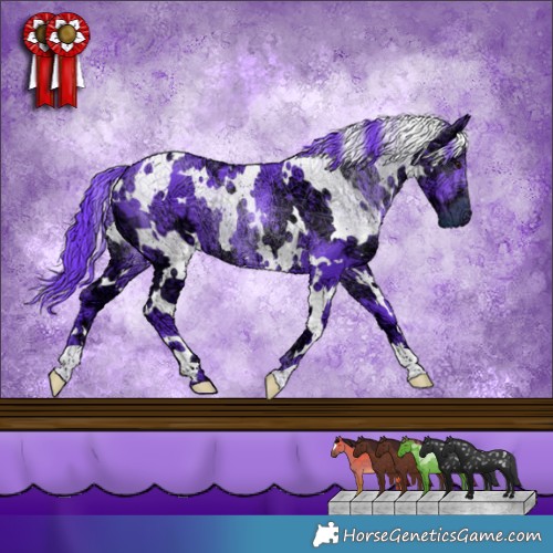 Horse Color:Watercolor White Spotted Chocolate Smoky Black Chinchilla Ice 
