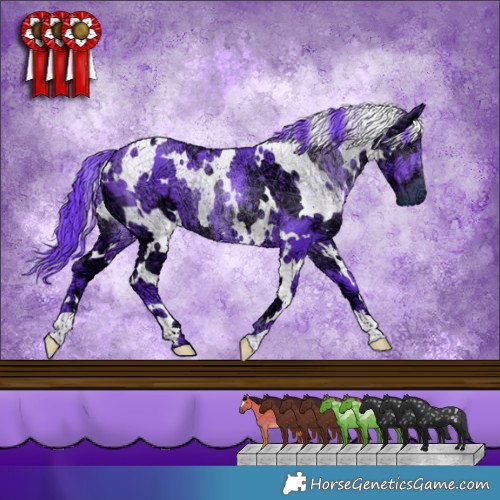 Horse Color:Watercolor White Spotted Chocolate Smoky Black Chinchilla Ice 