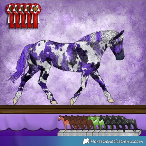 Horse Color:Watercolor White Spotted Chocolate Smoky Black Chinchilla Ice 