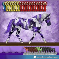 Horse Color:Watercolor White Spotted Chocolate Smoky Black Chinchilla Ice