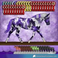 Horse Color:Watercolor White Spotted Chocolate Smoky Black Chinchilla Ice