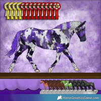 Horse Color:Watercolor White Spotted Chocolate Smoky Black Chinchilla Ice 