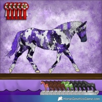 Horse Color:Watercolor White Spotted Chocolate Smoky Black Chinchilla Ice 