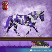 Horse Color:Watercolor White Spotted Chocolate Smoky Black Chinchilla Ice