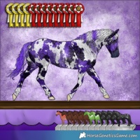 Horse Color:Watercolor White Spotted Chocolate Smoky Black Chinchilla Ice 