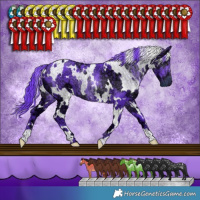Horse Color:Watercolor White Spotted Chocolate Smoky Black Chinchilla Ice
