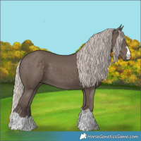 Horse Color:Silver Black