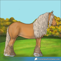 Horse Color:Palomino 