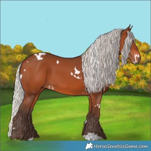 Horse Color:White Spotted Silver Brown 