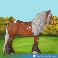 Horse Color:White Spotted Silver Brown