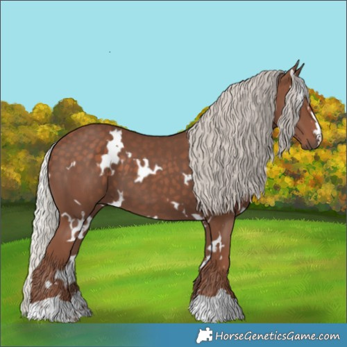 Horse Color:White Spotted Silver Black 