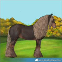 Horse Color:Liver Chestnut Rabicano 