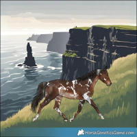 Horse Color:White Spotted Liver Chestnut 