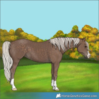 Horse Color:Silver Black 
