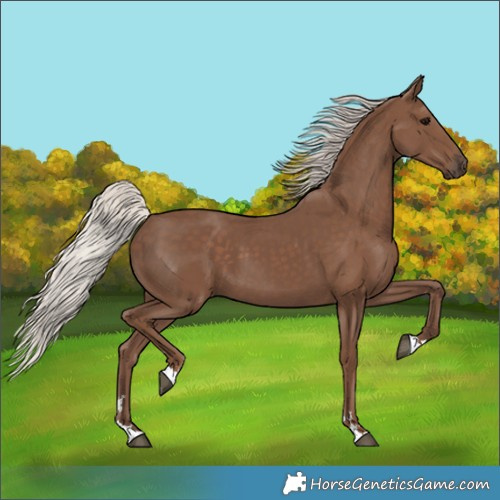 Horse Color:Silver Black