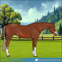Horse Color:Chestnut 