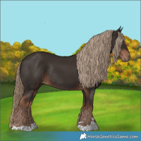 Horse Color:Liver Chestnut Rabicano 