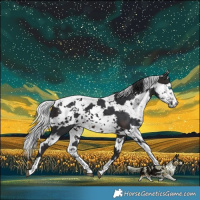 Horse Color:Brown Harlequin Merle 