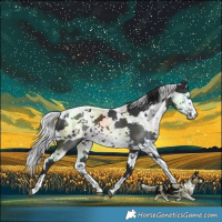 Horse Color:Brown Harlequin Merle 