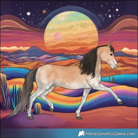 Horse Color:White Spotted Bay Dun Splash and White Spotted Bay Dun Splash