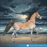 Horse Color:White Spotted Bay Dun Splash  and White Spotted Bay Dun Splash 