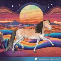 Horse Color:White Spotted Bay Dun Splash  and White Spotted Bay Dun Splash 