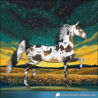 Horse Color:Buckskin Harlequin Merle 