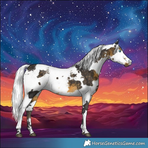 Horse Color:Buckskin Harlequin Merle 
