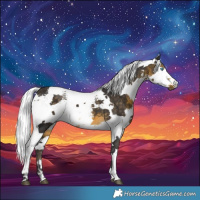 Horse Color:Buckskin Harlequin Merle 