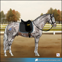 Horse Color:Powder White Brown Harlequin Merle Tobiano  and Powder White Silver Brown Splash 