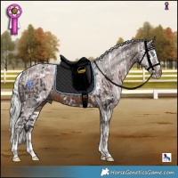 Horse Color:Powder White Brown Harlequin Merle Tobiano  and Powder White Silver Brown Splash 