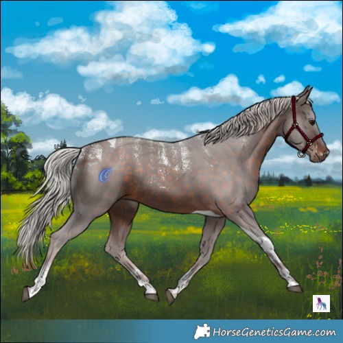 Horse Color:Powder White Silver Brown Tobiano Rabicano