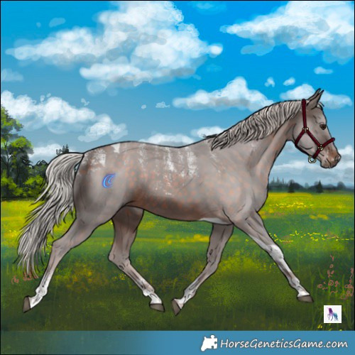 Horse Color:Powder White Silver Brown Tobiano Rabicano 