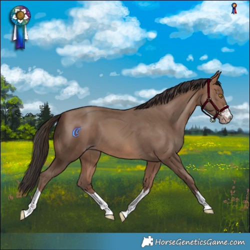 Horse Color:Sable Champagne 