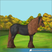Horse Color:Gray White Spotted Liver Chestnut 