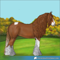 Horse Color:Gray Chestnut Splash Tobiano 
