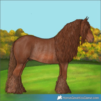 Horse Color:Chestnut Rabicano 