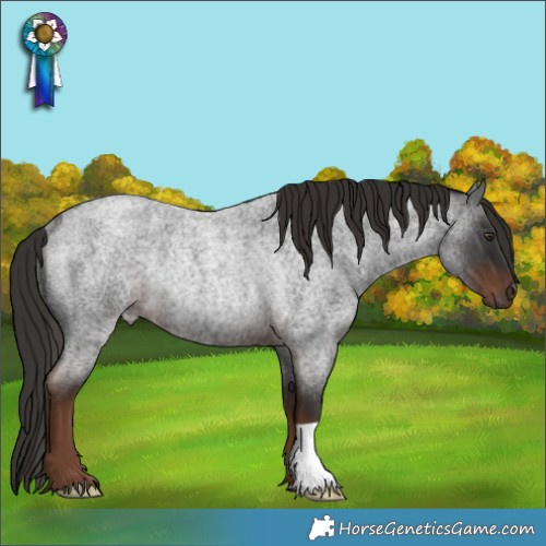 Horse Color:Liver Red Roan Rabicano 