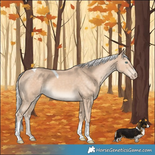 Horse Color:Silver Perlino Tobiano
