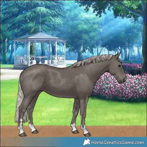 Horse Color:Silver Black 