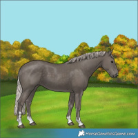 Horse Color:Silver Black 