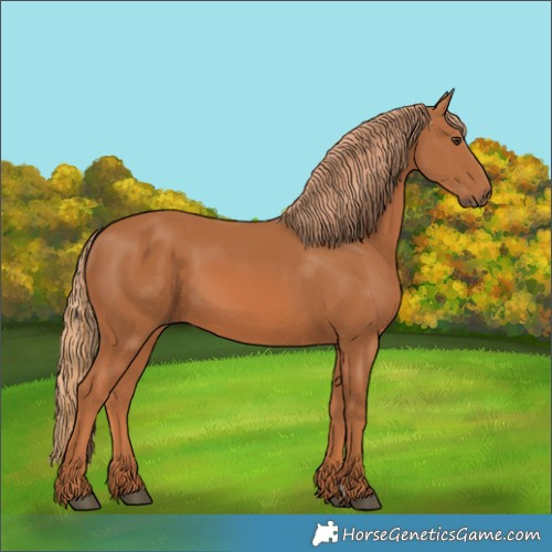 Horse Color:Chestnut 
