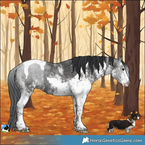 Horse Color:White Spotted Black Ice Tobiano Rabicano 