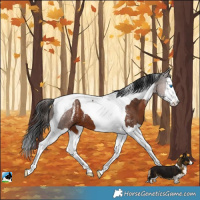 Horse Color:Powder White Liver Chestnut Splash Tobiano 