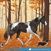 Horse Color:White Spotted Liver Chestnut Tobiano 