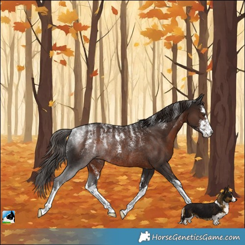 Horse Color:Powder White White Spotted Liver Chestnut Rabicano 