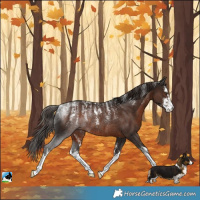 Horse Color:Powder White White Spotted Liver Chestnut Rabicano
