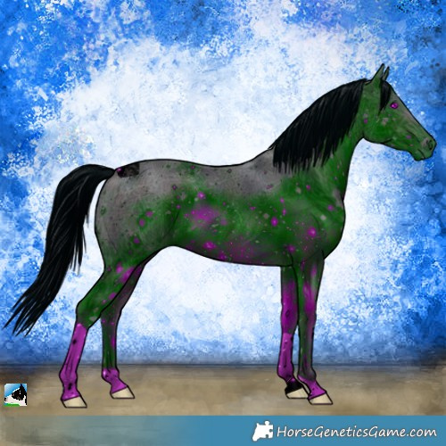 Horse Color:ERROR: UNKNOWN ANOMALY