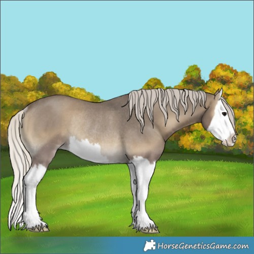 Horse Color:Silver Smoky Blue Onyx Splash Rabicano
